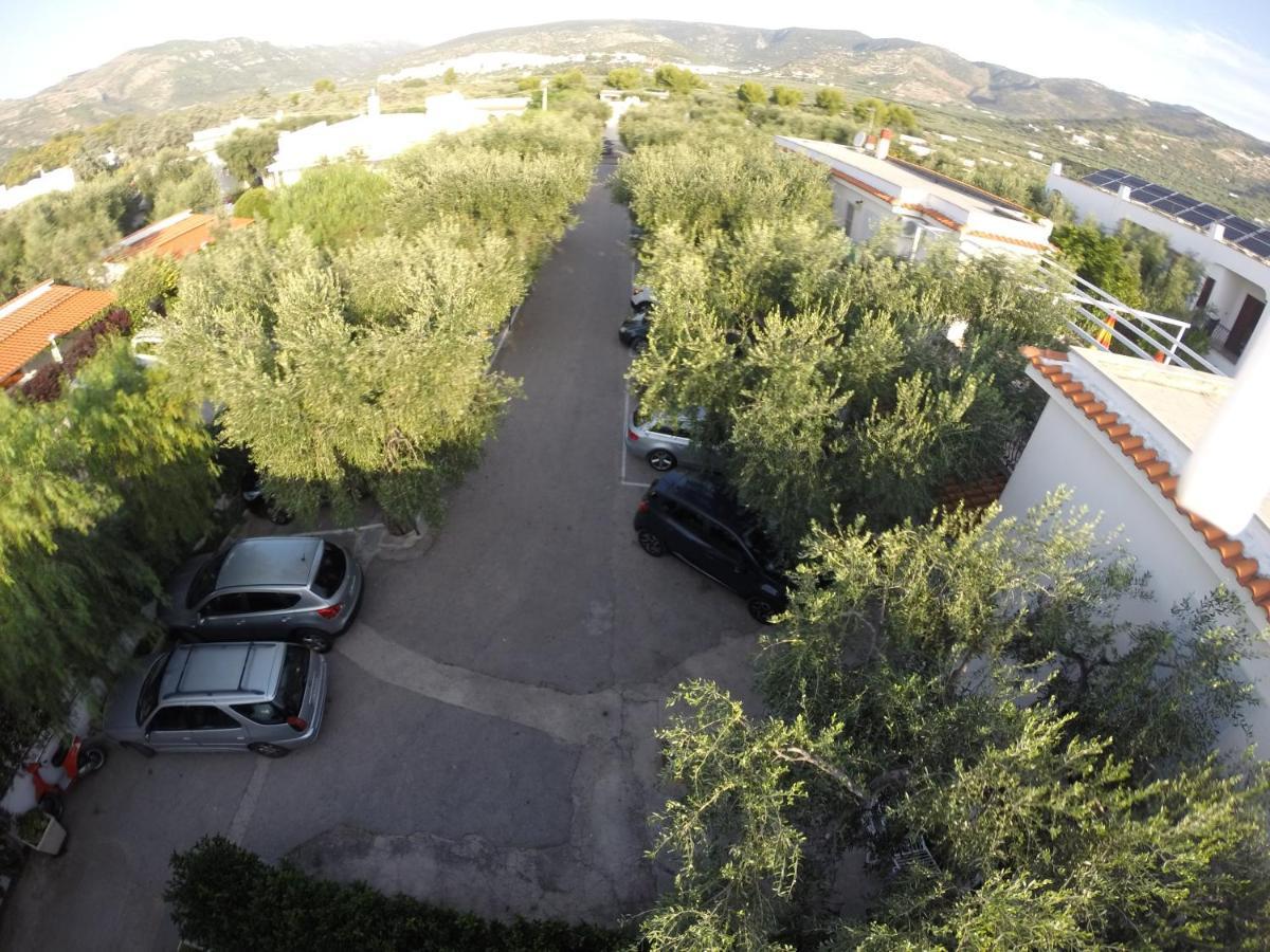 Residence Adriatico Матината Екстериор снимка