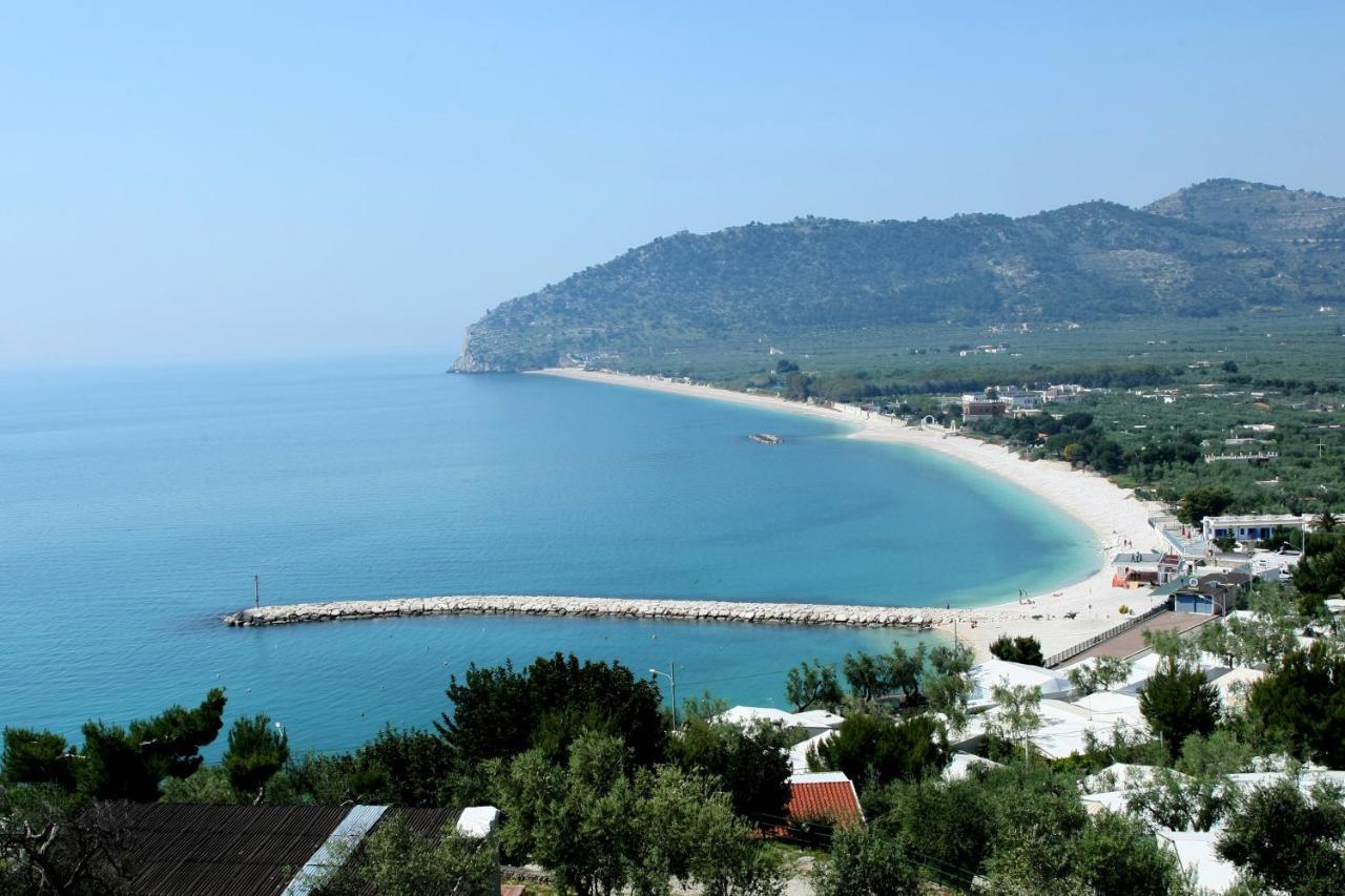 Residence Adriatico Матината Екстериор снимка