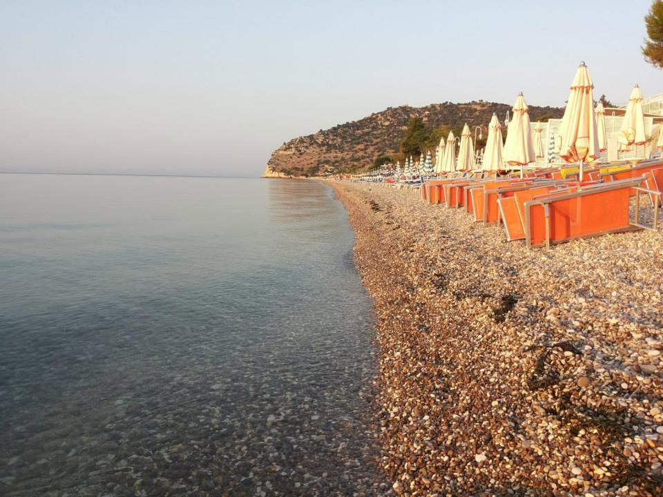 Residence Adriatico Матината Екстериор снимка